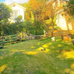 ペンションアロンのドッグラン