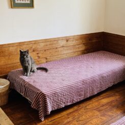 ペンションアロンのベッド